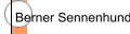 Berner Sennenhunde